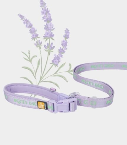 Dream Maka Series Pet Leash
