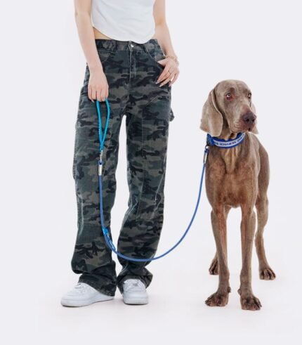 Integral Pet Leash